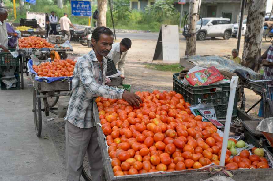 Vendors arrange tomatoes