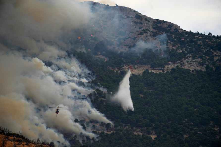 Wildfire on Parnitha mountain