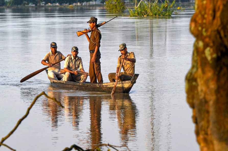 Flooded Pobitora Wildlife Sanctuary