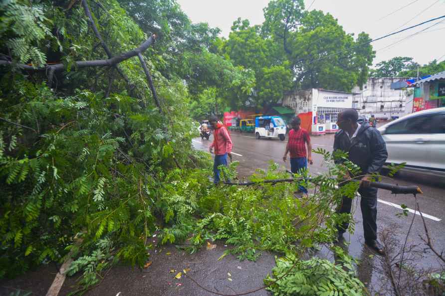 Weather: Tree fell in Lucknow