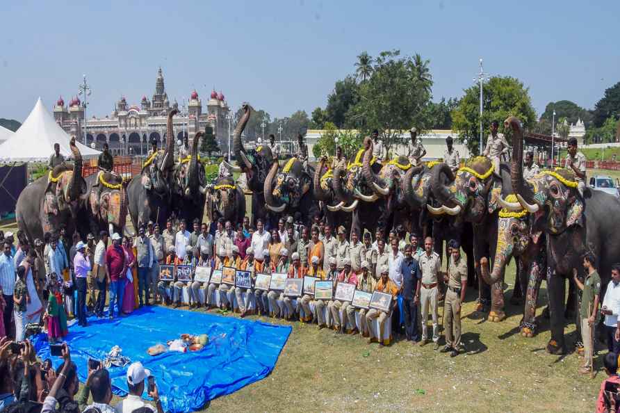 Mysuru: Elephants that were brought for Mysore Dasara celebrations...