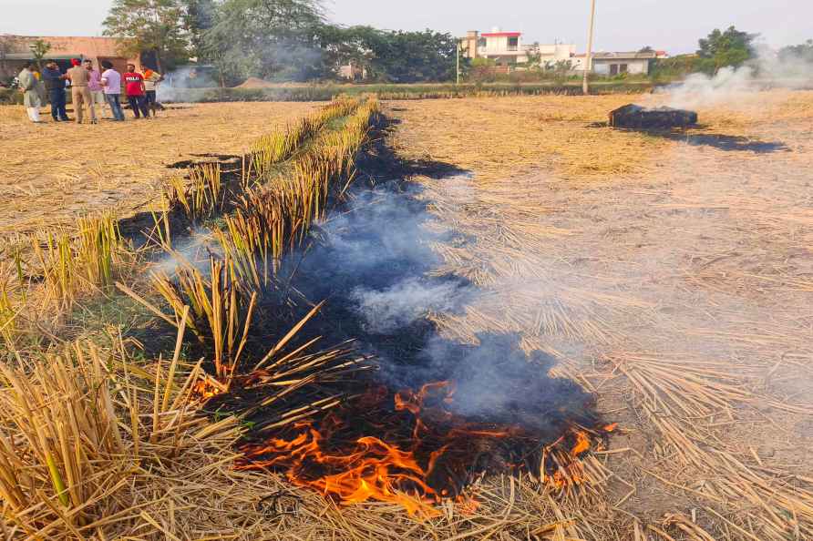 Punjab sees 70pc decline in stubble burning in two years: AAP