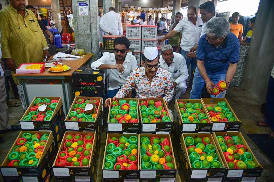 Alphonso mangoes imported from Malawi