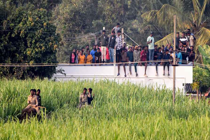 Operation to send wild tuskers back to forested area