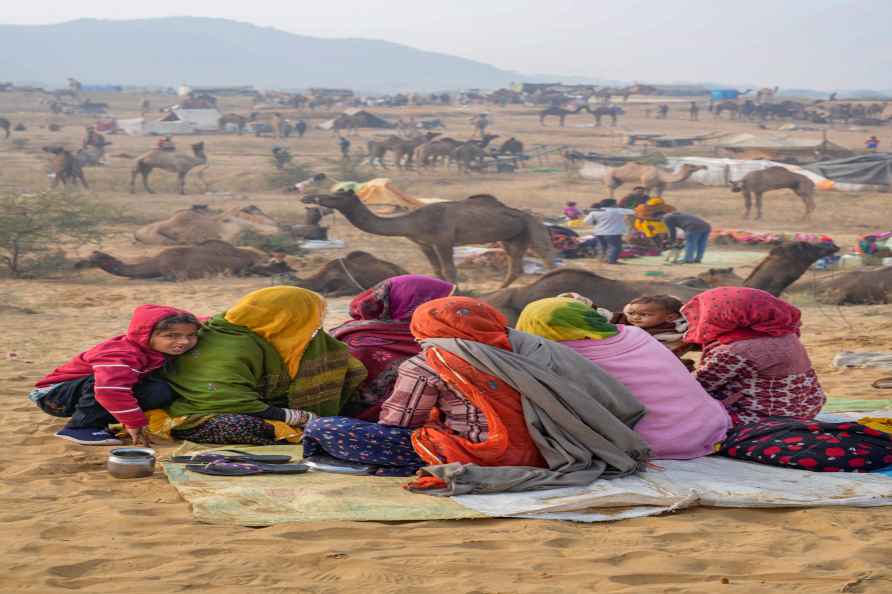 Pushkar Camel Fair 2023