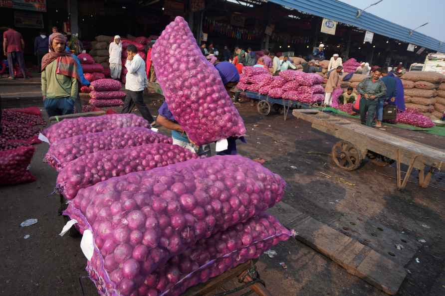 Onions at Azadpur Mandi