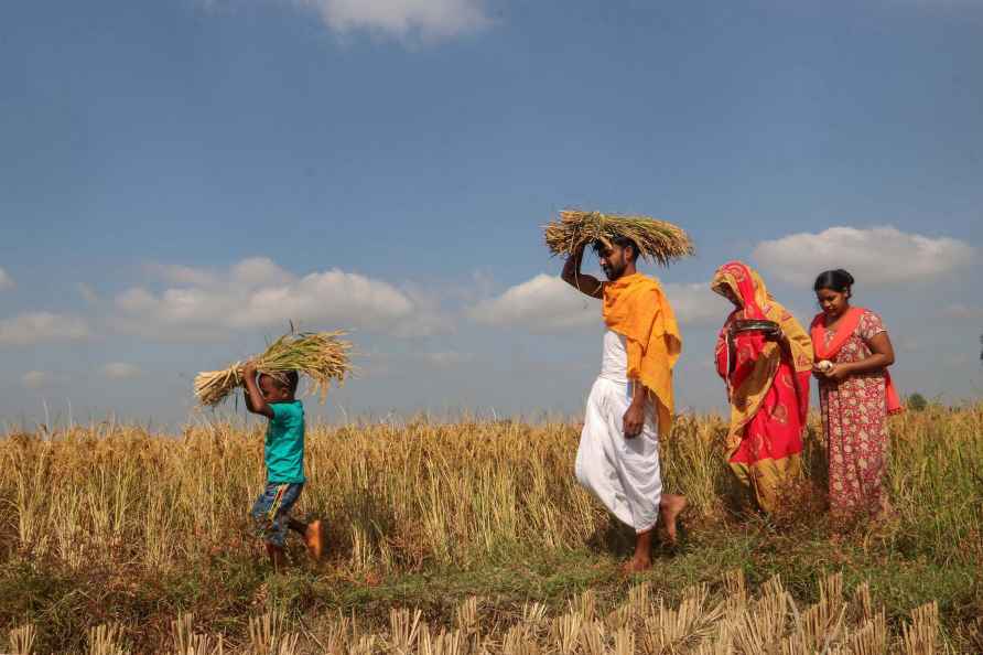 Nabanna festival in South Dinajpur