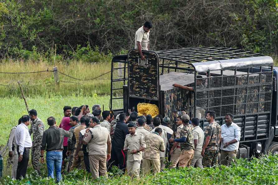 Injured tiger rescued