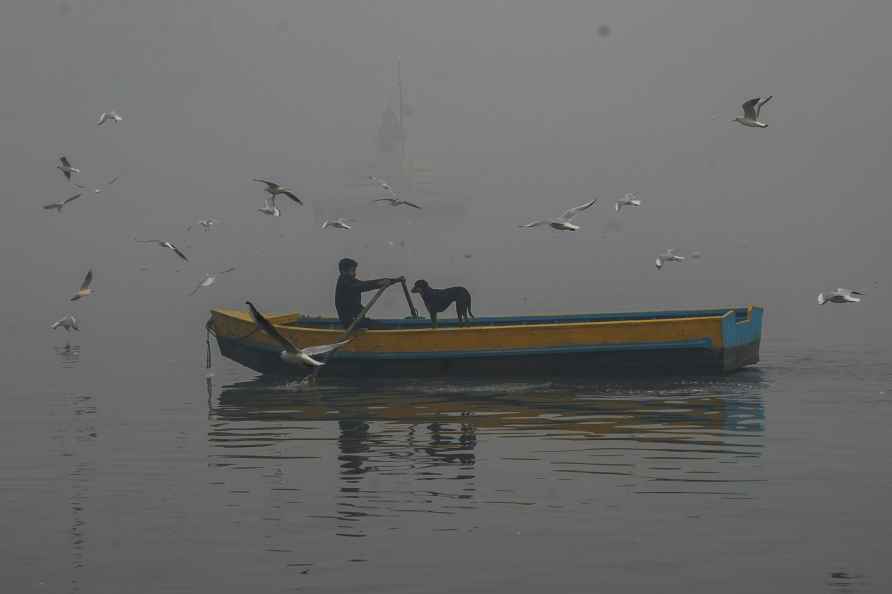 Standalone: Migratory birds fly over Yamuna