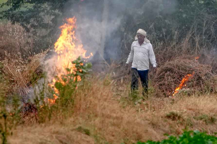 Stubble burning in Rajasthan