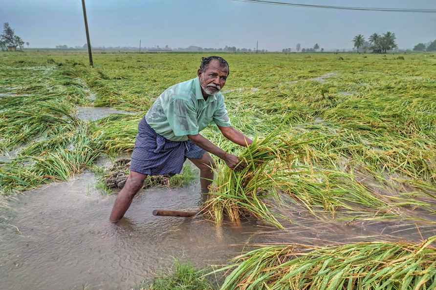 Weather: Heavy rainfall damaged acres of crops