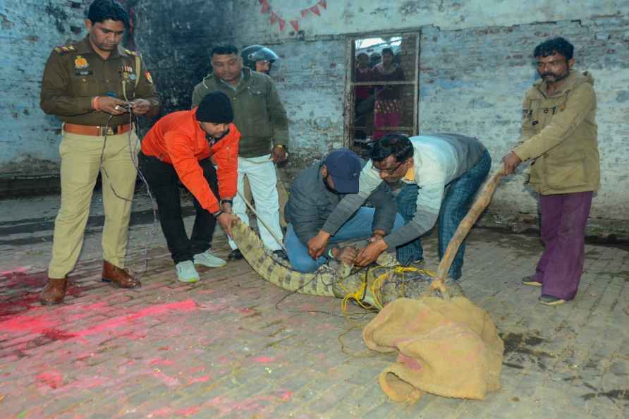 Crocodile captured in Kanpur