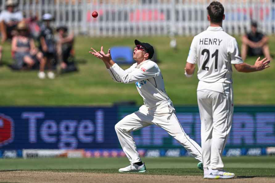 NZ vs SA: Test Cricket match