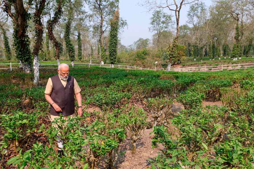 PM Modi visits Assam's tea gardens