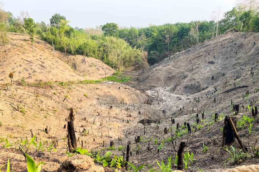 Jhum cultivation in Dhalai