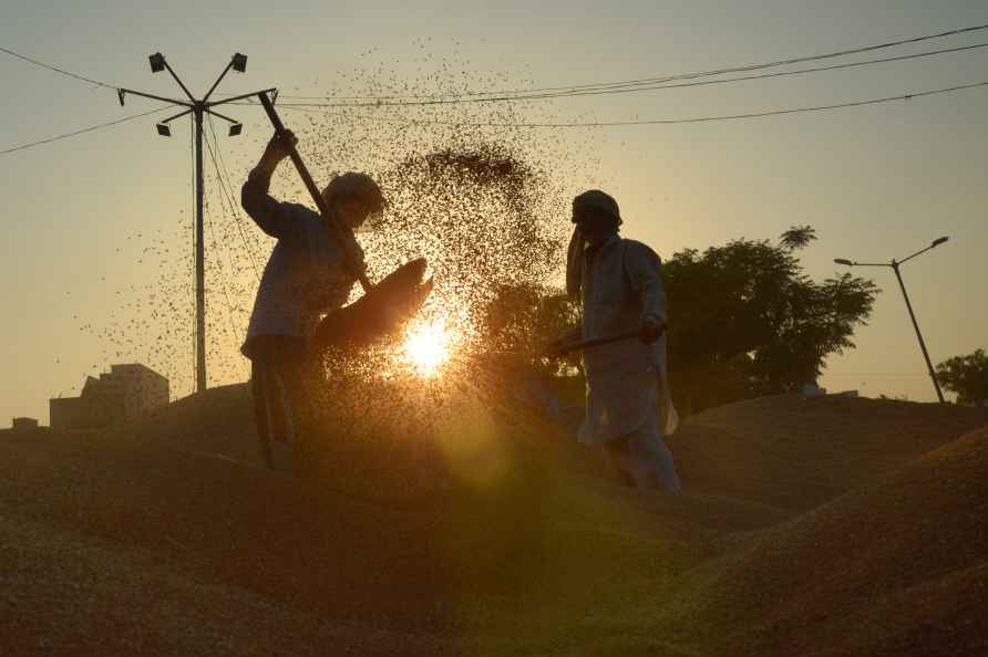 Workers at a grain market in Amritsar