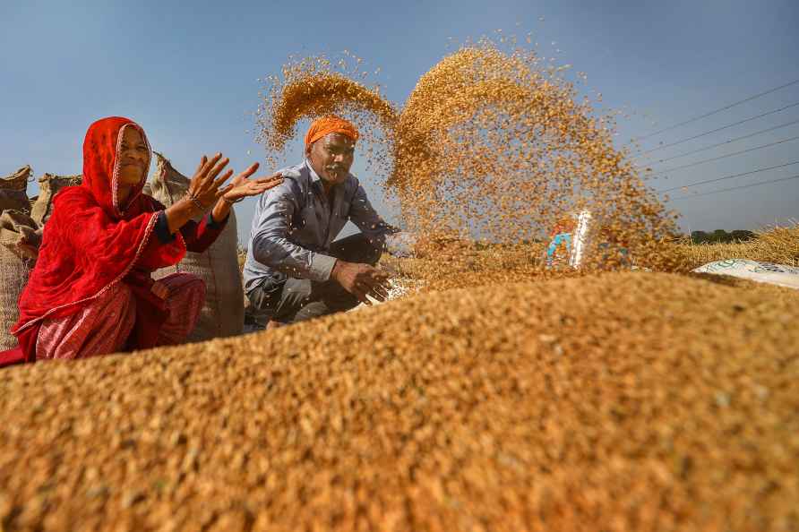 Jammu: Farmers harvest wheat crop at a village, near the border, ...