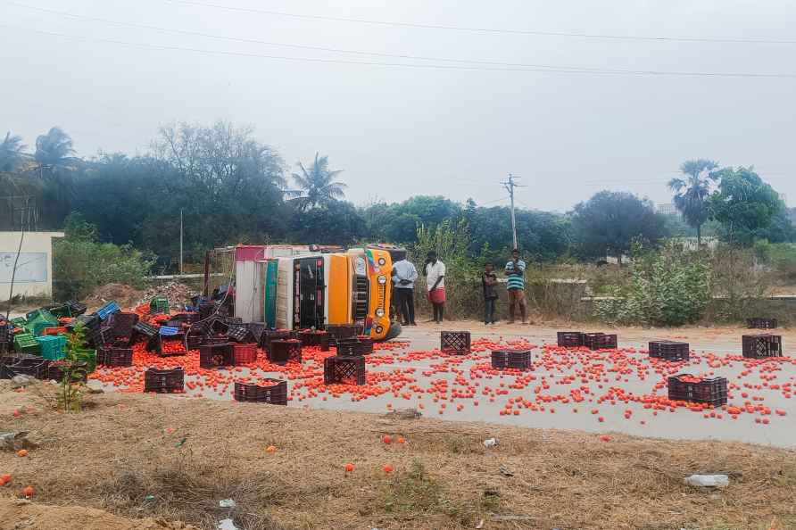 Mini-truck carrying tomatoes overturns