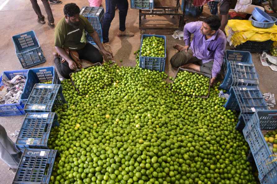 Standalone: Surat vegetable market