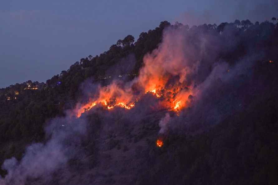 Fire in Kasauli forest