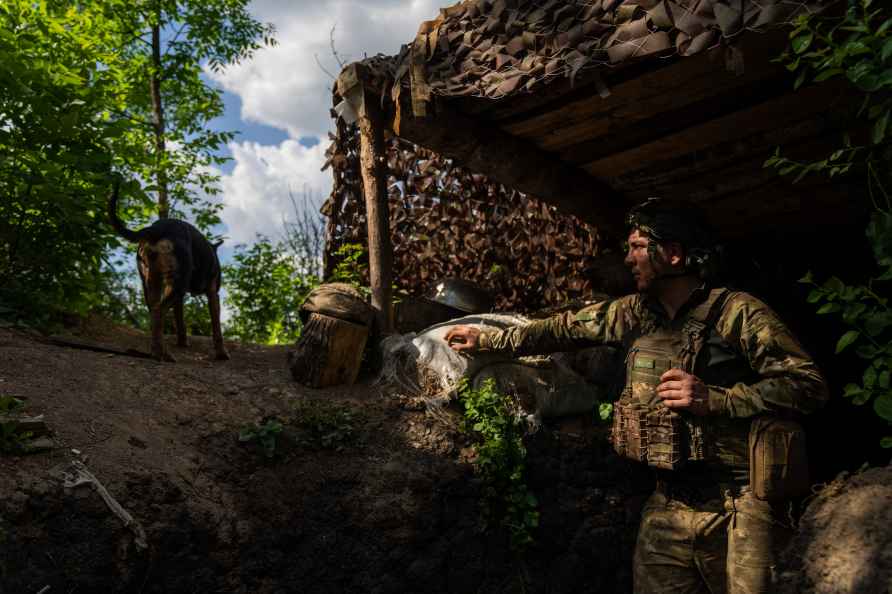 Ukrainian army personnel looks at stray dog