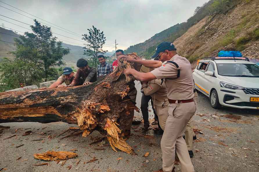 Tree uprooted in Rudraprayag