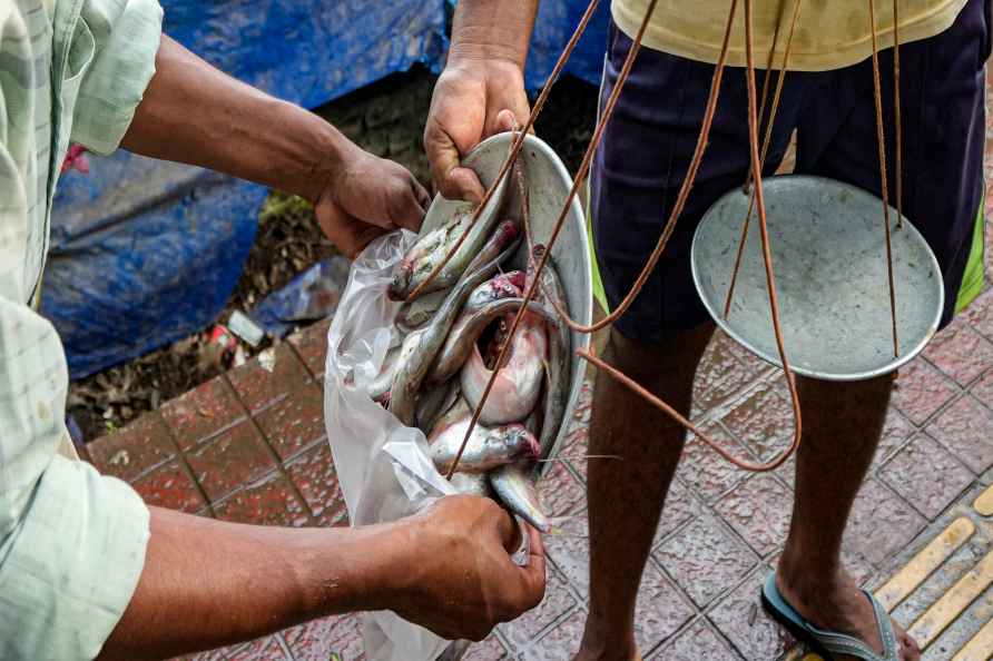 Standalone feature: Uzan Bazar fish market