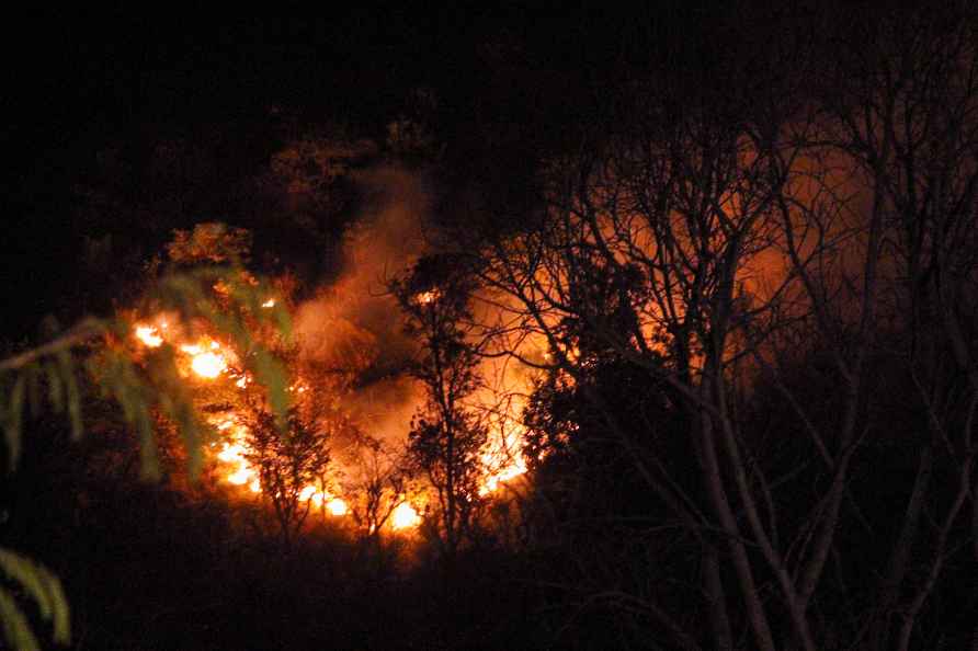 Forest fire in Uttarkashi