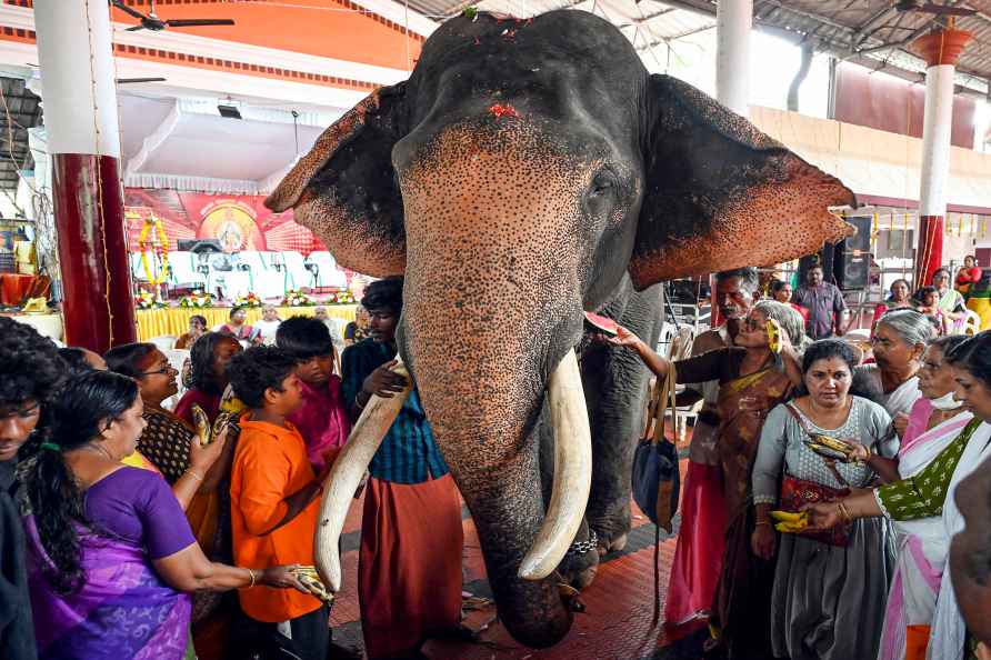 Thiruvananthapuram: Devotees take part in a 'Aanayoottu' (feeding...