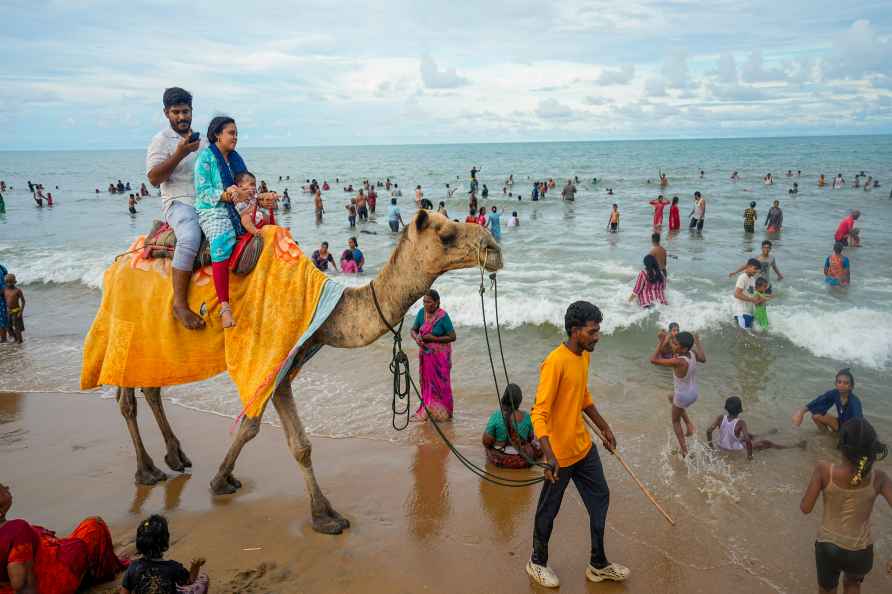 Standalone: Camel ride at Velankanni beach