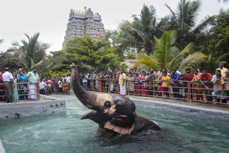 Elephant 'Akhila' 22nd birthday