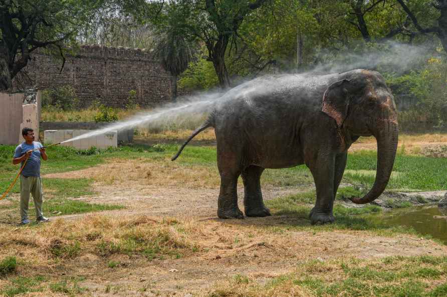 Weather: Animals at Delhi Zoo