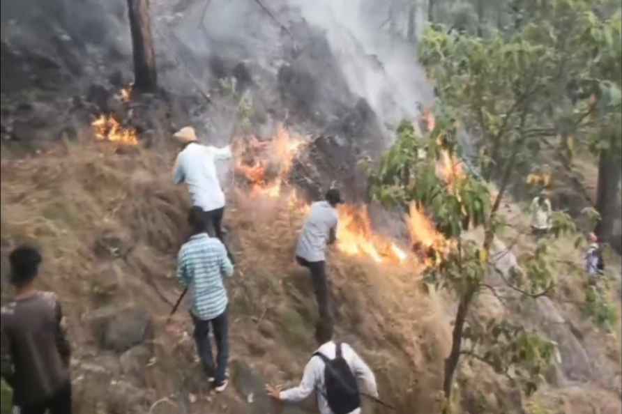 Fire in forest area of Rajouri