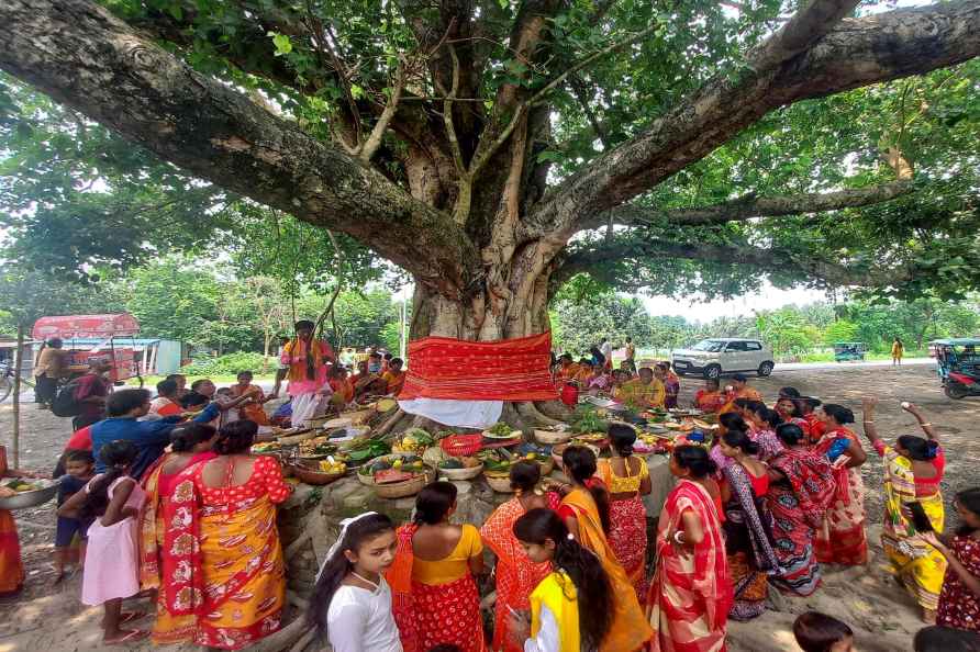 'Jamai Sasthi' celebrations in WB