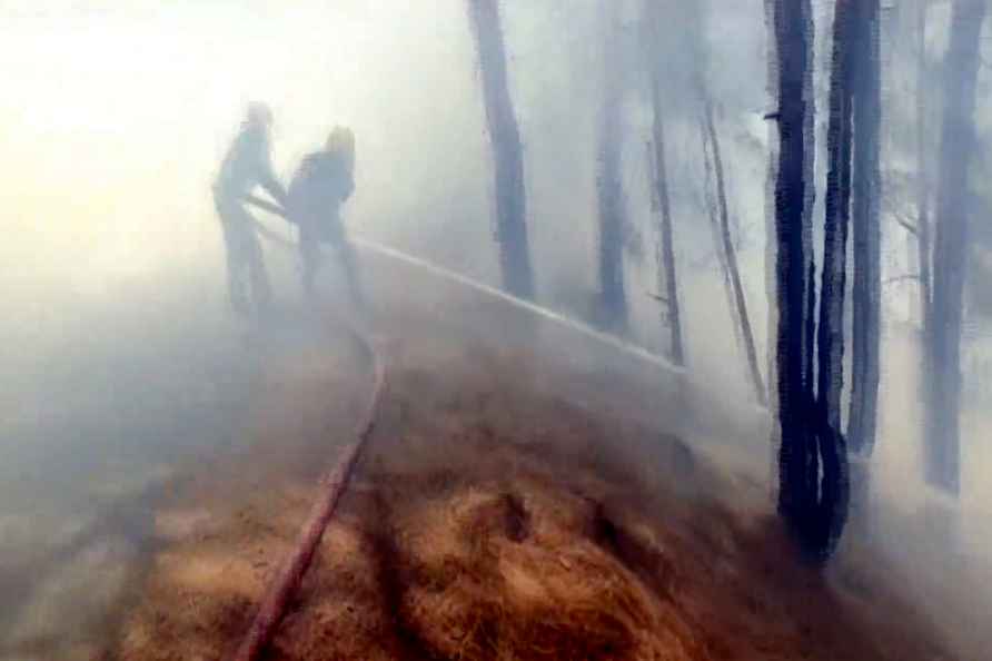 Forest fire in Jammu and Kashmir