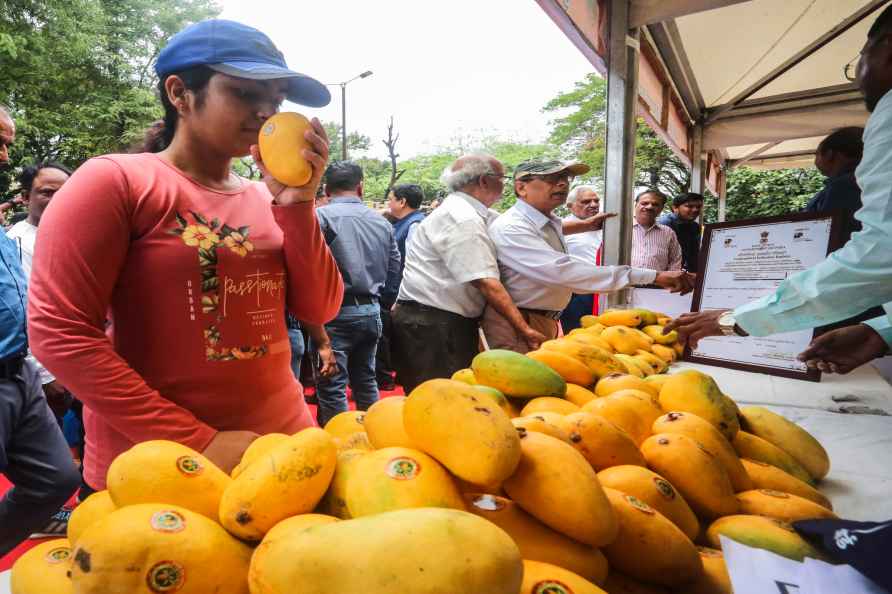 Mango festival in Bhopal