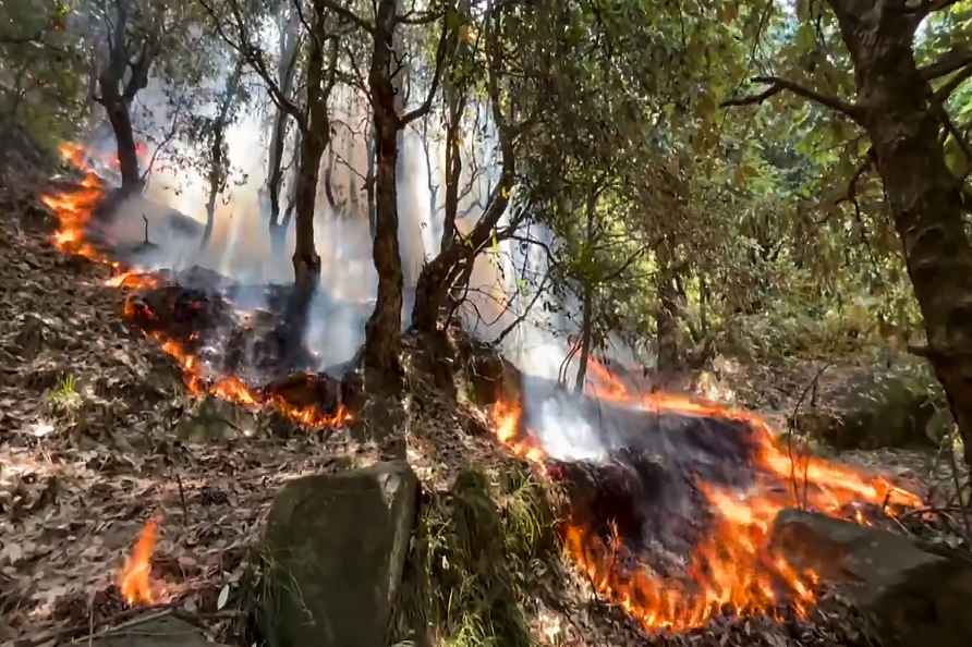 Forrest fire in Jammu and Kashmir