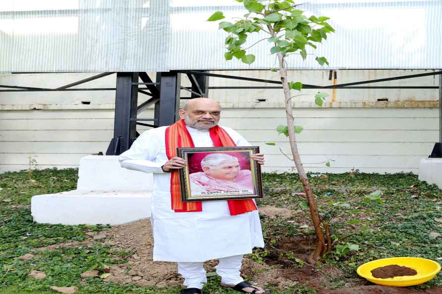 Amit Shah plants tree in his mother's name