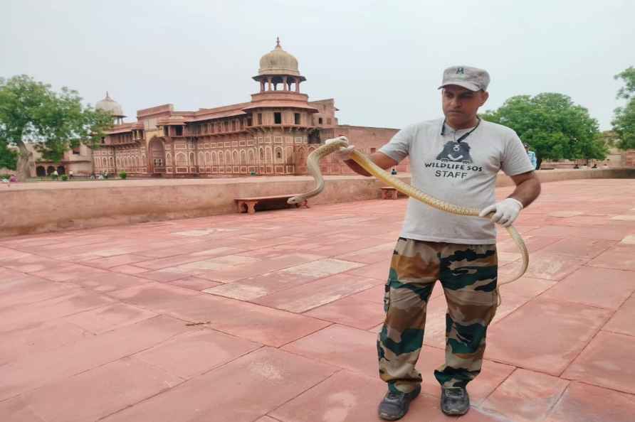 Indian rat snake rescued from toilet of Agra’s Lal Quila?