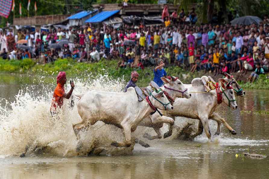 Bull race competition in South 24 Parganas