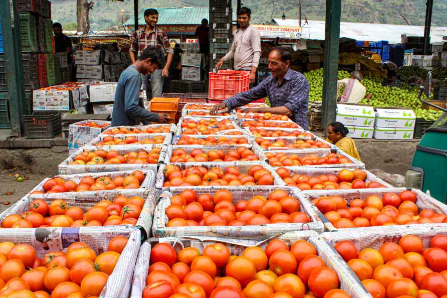 Tomatoes at a vegetable market in Kullu