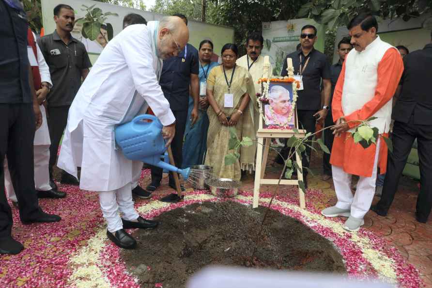 Amit Shah planted a sapling