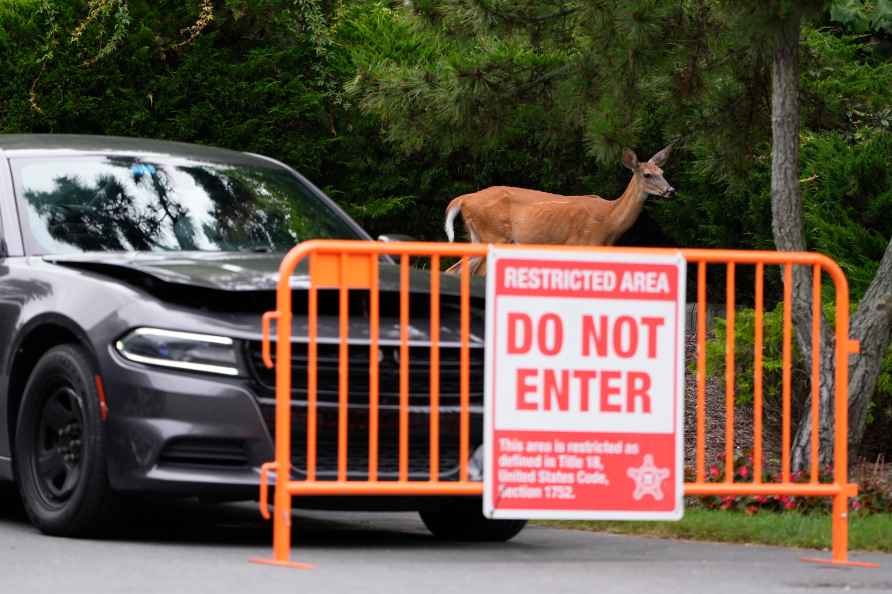 A deer walks past a law enforcement blockade Joe Biden's beach house