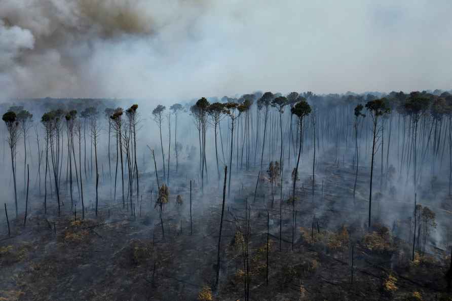 Fires at Brasilia National Forest